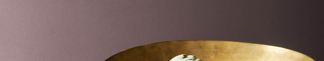Benjamin Moore sample paint color Amazon Soil